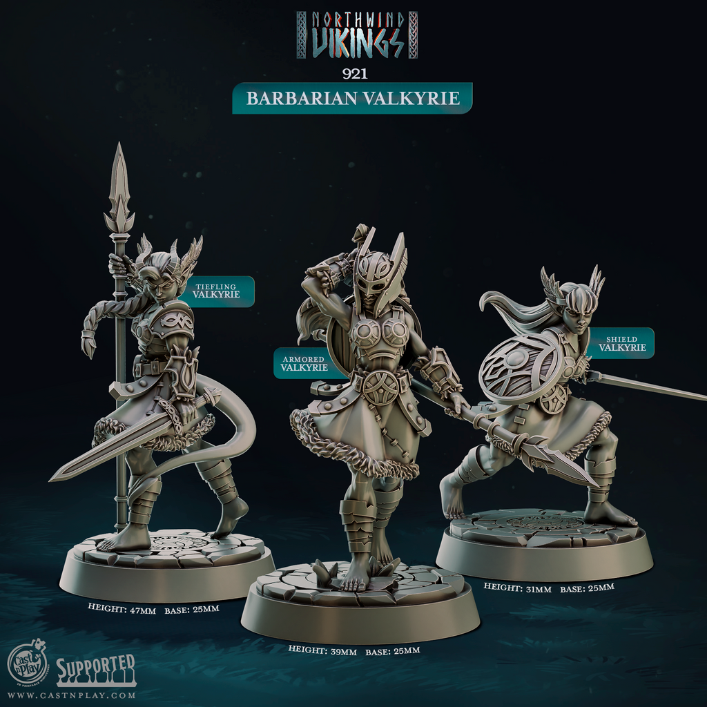 3D printed Barbarian Valkyrie miniature set featuring three distinct warrior sculpts including a Tiefling Valkyrie, Armored Valkyrie, and Shield Valkyrie, ideal for D&D tabletop RPG or Pathfinder campaigns. Resin miniatures on 25mm bases from the Northwind Vikings collection by Cast n Play at 32mm heroic scale.
