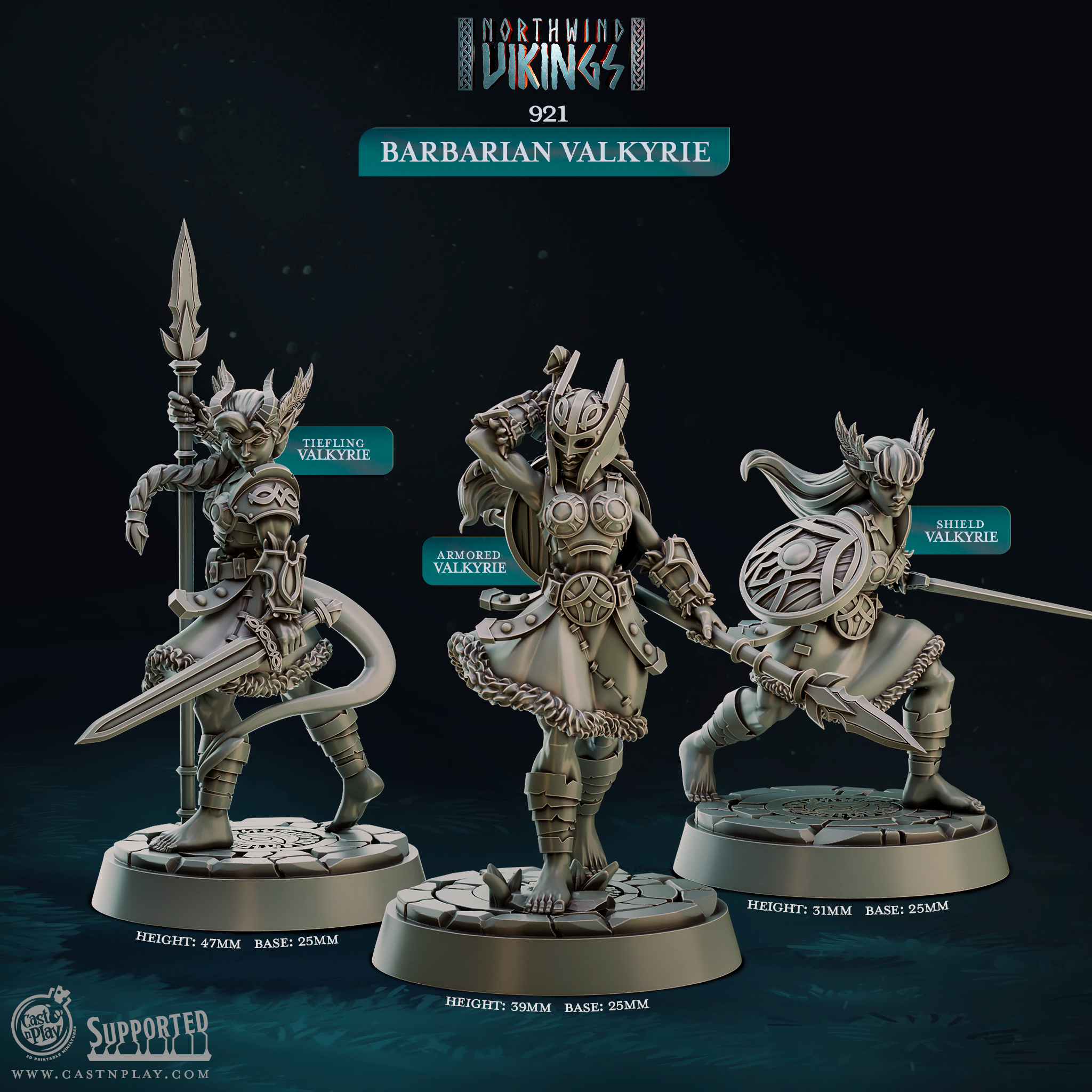 3D printed Barbarian Valkyrie miniature set featuring three distinct warrior sculpts including a Tiefling Valkyrie, Armored Valkyrie, and Shield Valkyrie, ideal for D&D tabletop RPG or Pathfinder campaigns. Resin miniatures on 25mm bases from the Northwind Vikings collection by Cast n Play at 32mm heroic scale.
