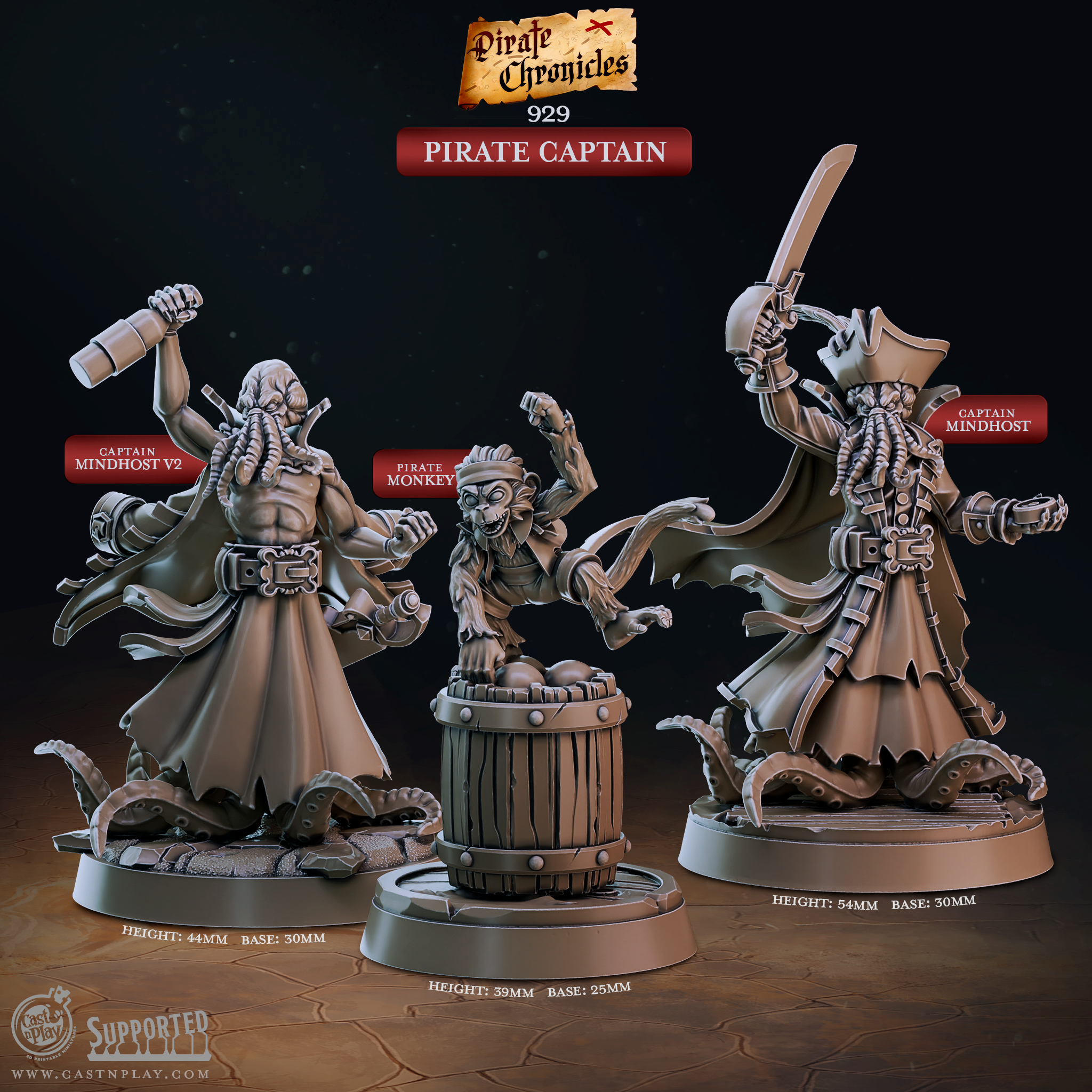 Pirate Captain Miniatures | Swashbuckler D&D Pathfinder Tabletop RPG | 16K Resin Heroic 32mm Scale