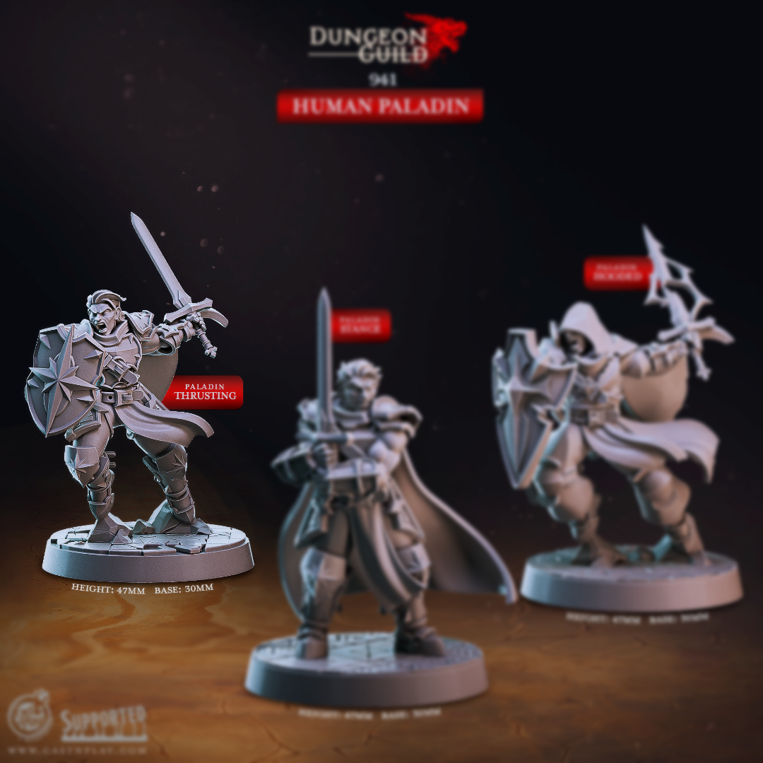 3D printed Human Paladin Thrusting miniature for D&D and tabletop RPG, an armored resin knight lunging forward with sword and shield on a 30mm base.