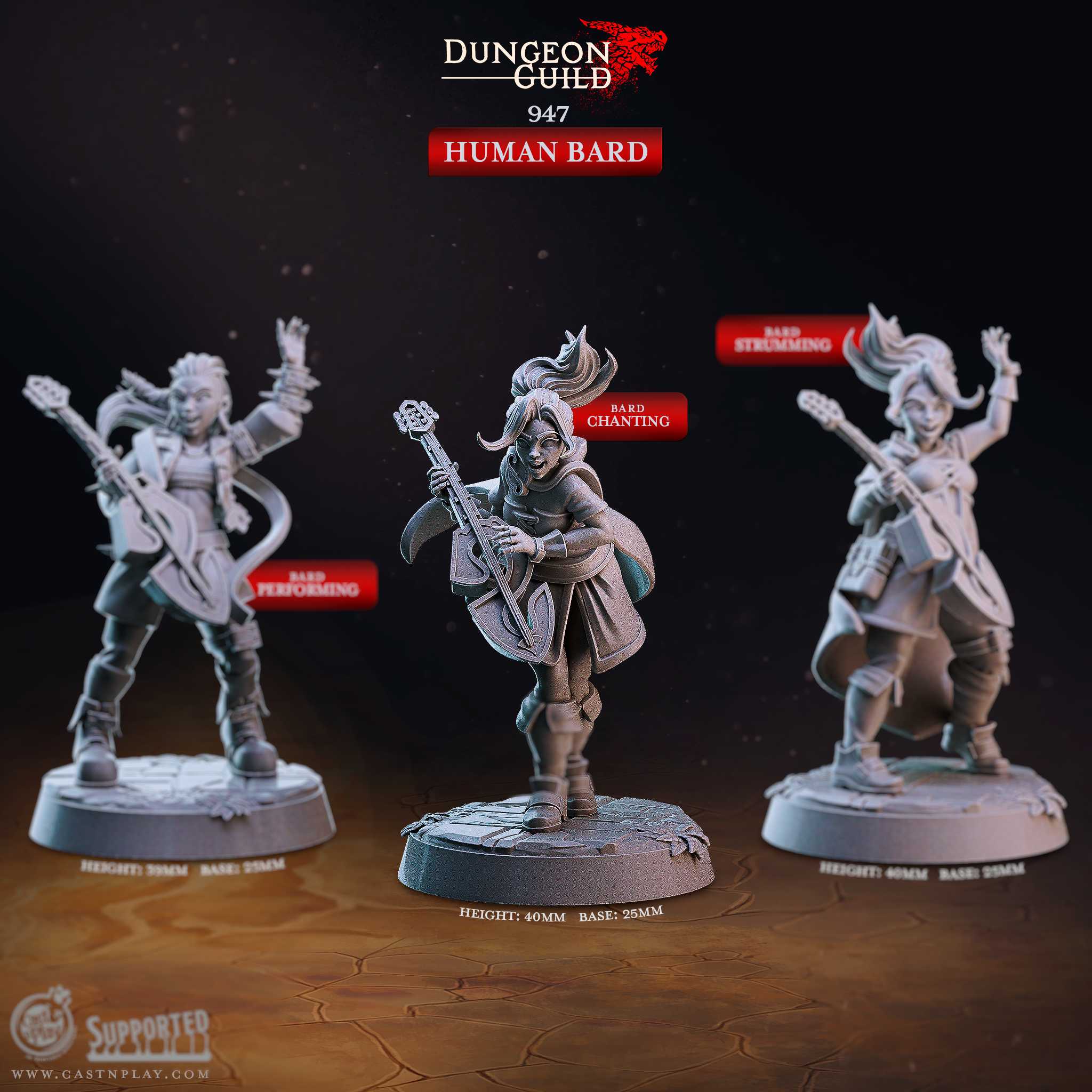 Female Human Bard Miniatures | Performer D&D Pathfinder Tabletop RPG | 16K Resin Heroic 32mm Scale