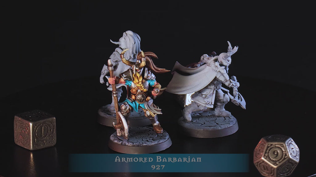 Armored Barbarian- Norse Viking Fighter